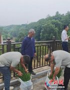 袁隆平墓前的“特殊礼物”：送秧苗、话科研进展